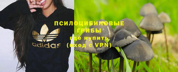 мескалин Лабытнанги