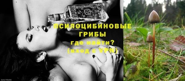 молекула духа Лихославль