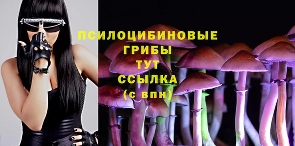 apvp Коряжма