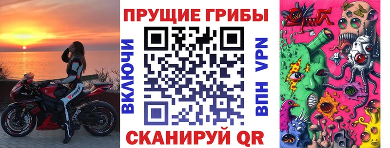 Псилоцибиновые грибы Cubensis  Купить закладки  Волхов 